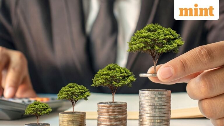 Small-cap funds can fall harder than large-caps. How should investors size their bets?