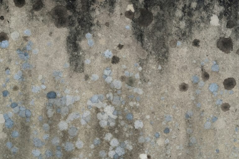 Mold Is Growing Into Major Problem For Apartment Owners