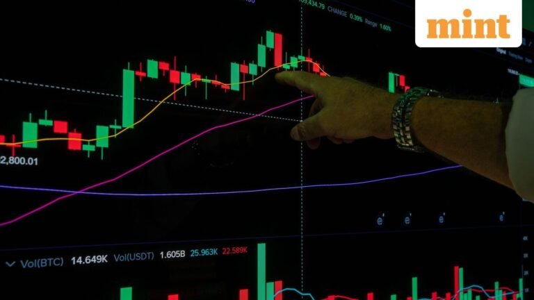 Small-cap funds draw record  ₹7,973 crore. But volatility remains the catch