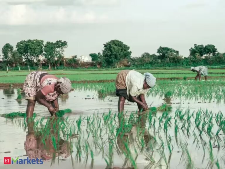 S&P projects 12-14% credit growth this fiscal, warns weak monsoon may hit rural lending