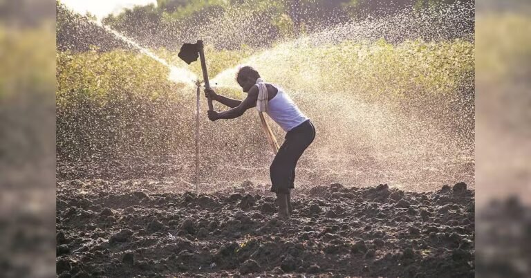 India’s rural economy decoupling from monsoon shocks, says RBI report | Agriculture