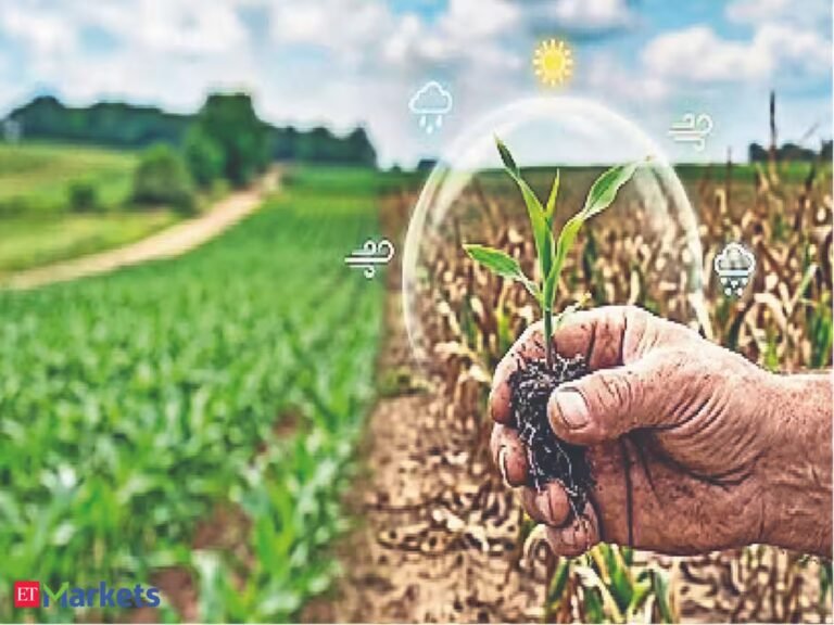 Insurers may face higher crop cover claims in Andhra Pradesh, Maharashtra, Karnataka