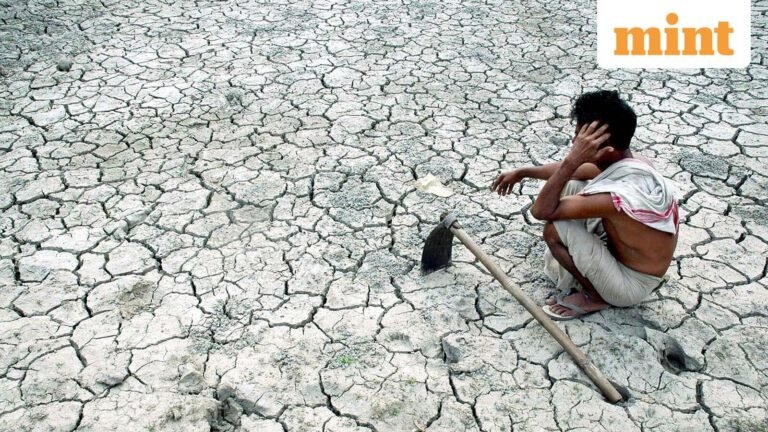 Financial assistance: Maharashtra farmers to receive ₹5,000 ‘Diwali bonus’ as relief measure amid drought—All we know