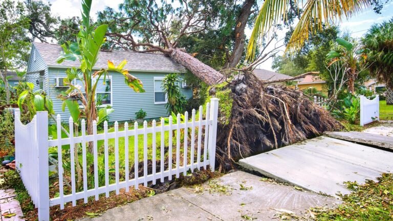What Is the Loyalty Tax on Homeowners Insurance?