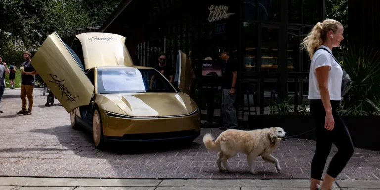 Elon Musk Says Tesla Is Trying to Prevent Robotaxis From Hitting Cats