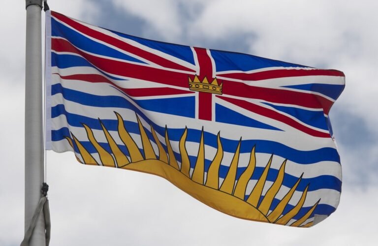 Incoming B.C. government pledges to cut homebuilding costs and delays