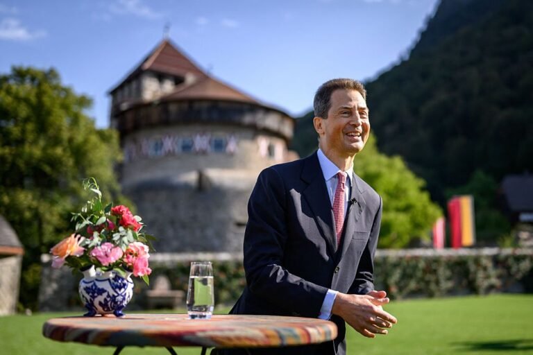 Trouble in the House of Liechtenstein – who is to blame?