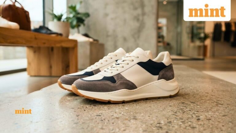 Luxury sneaker industry set to cross $75 billion in 5 years: Check top brands, leading market, customer segments