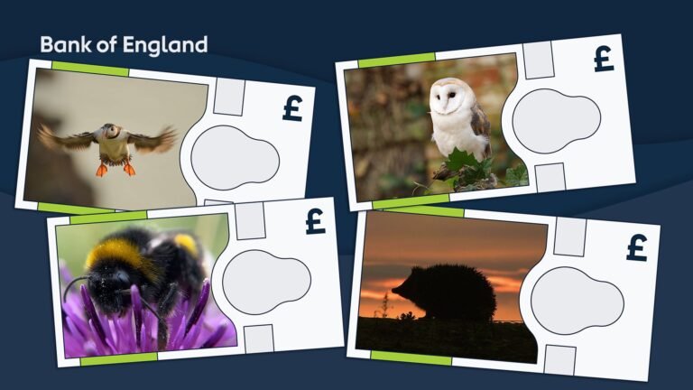 Bank of England confirms the four animals to feature on new banknotes