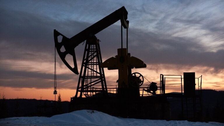 Saudi Arabia Cuts Crude Oil Prices for Asia: Will Petrol-Diesel Prices in India Be Cheaper Now?
