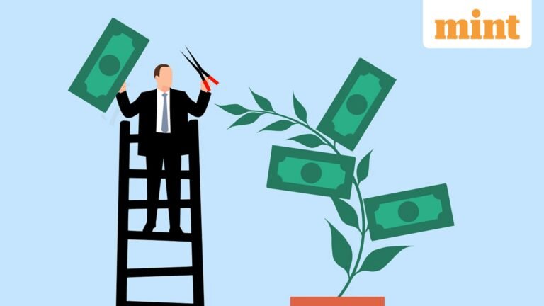 Higher pension planning: Why your salary and PF records need to be in order