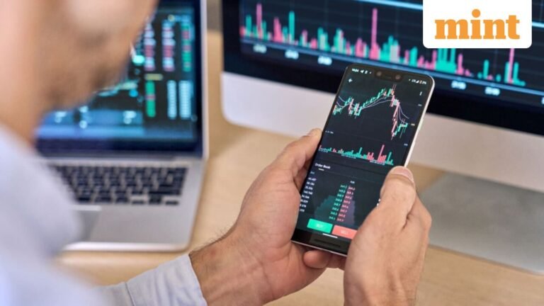 Nifty 50 correction: why fund managers see more value in large caps now