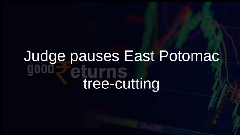 Judge orders 24-hour halt to tree-cutting at East Potomac Golf Course in Washington, DC