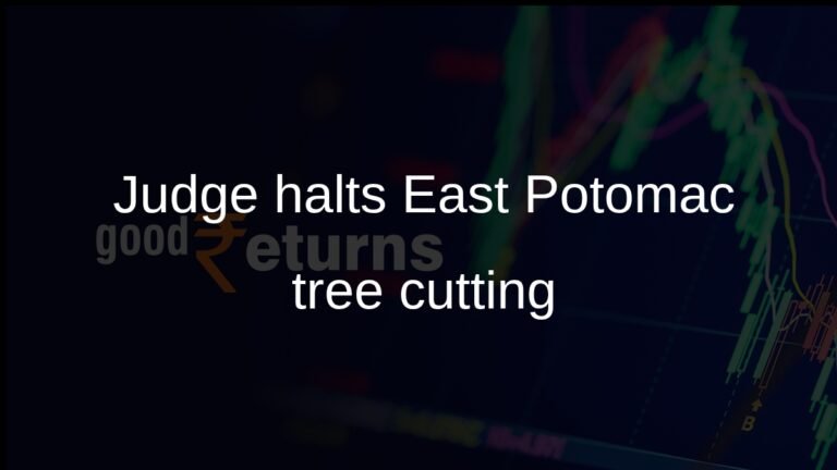 Tree cutting halted at East Potomac Golf Course after Judge Ana Reyes order