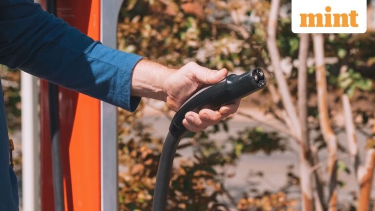 Planning to go green? Do solar panels and EV chargers actually slash your utility bills and save you money? Decoded