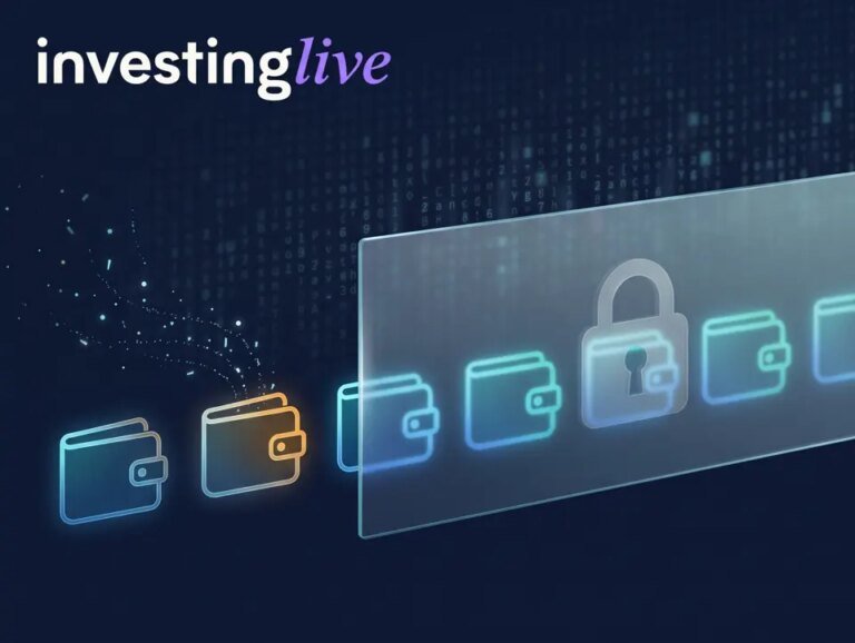 Crypto: Qubic halts network after weak wallet seeds let attacker drain 1,404 wallets