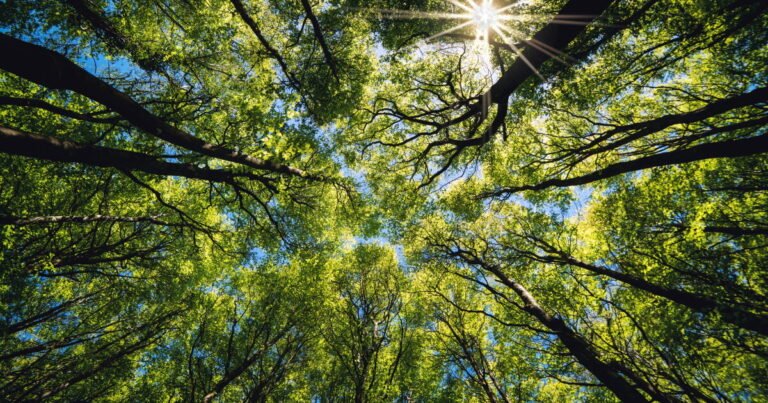 Group unveils nature metrics and indicators